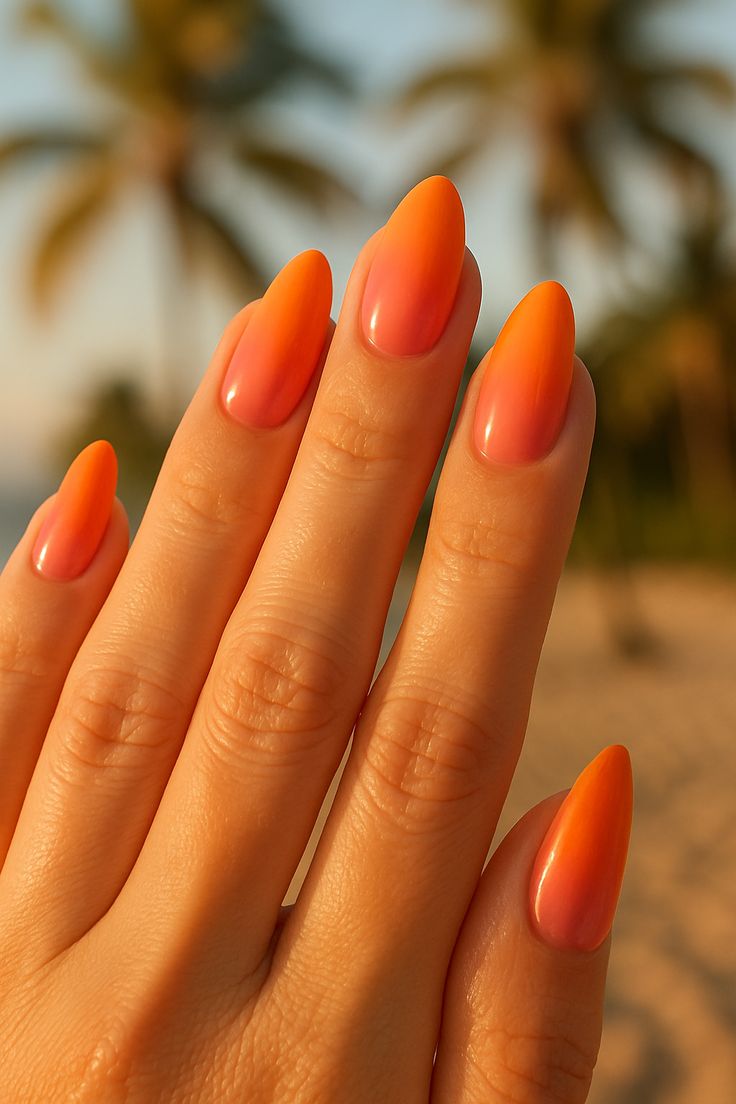 Orange 6